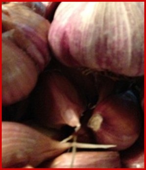 Brown Rose Garlic Brown Rose Garlic